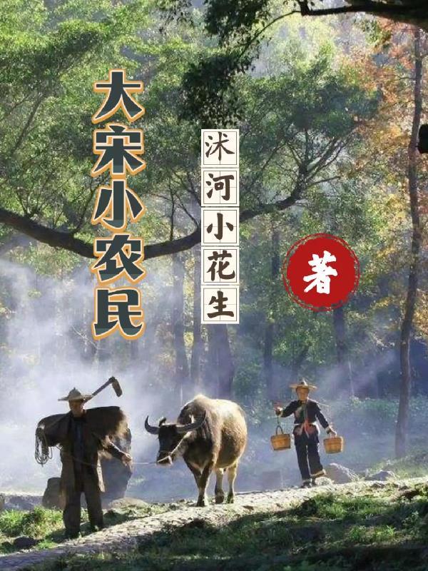 大宋小吏阅读