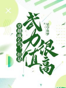 穿越成乞丐接绣球gl全文阅读