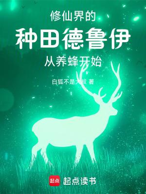 德鲁伊的梗