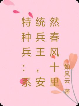 特种兵系统完本