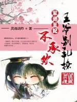 王爷的军师男妃169章