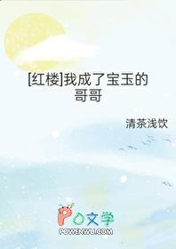 穿越成宝玉的红楼