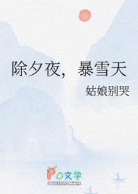 除夕夜暴雪天番外TXT