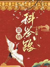 赘婿科举路子非陌