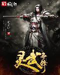 灵武是什么地方
