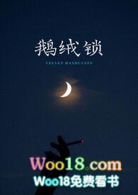 鹅绒锁讲了什么