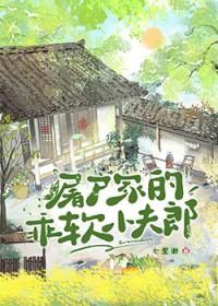 屠户家的小夫郎