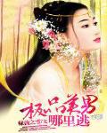 极品美男不好惹
